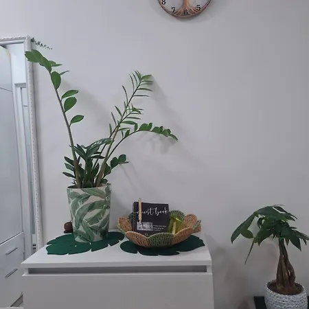 Apartamento Forest Liubliana